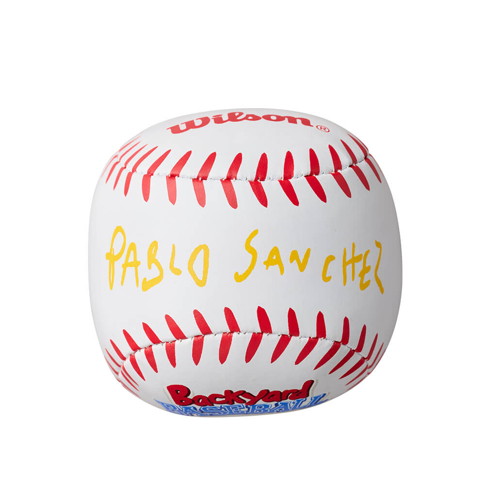 Pablo Sanchez Glove / Ball / Bat Kit - Image 5